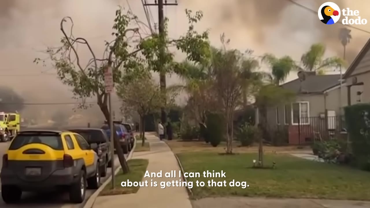 A view down a residential sidewalk with cars parked on the street and smoke filling the sky in the background.