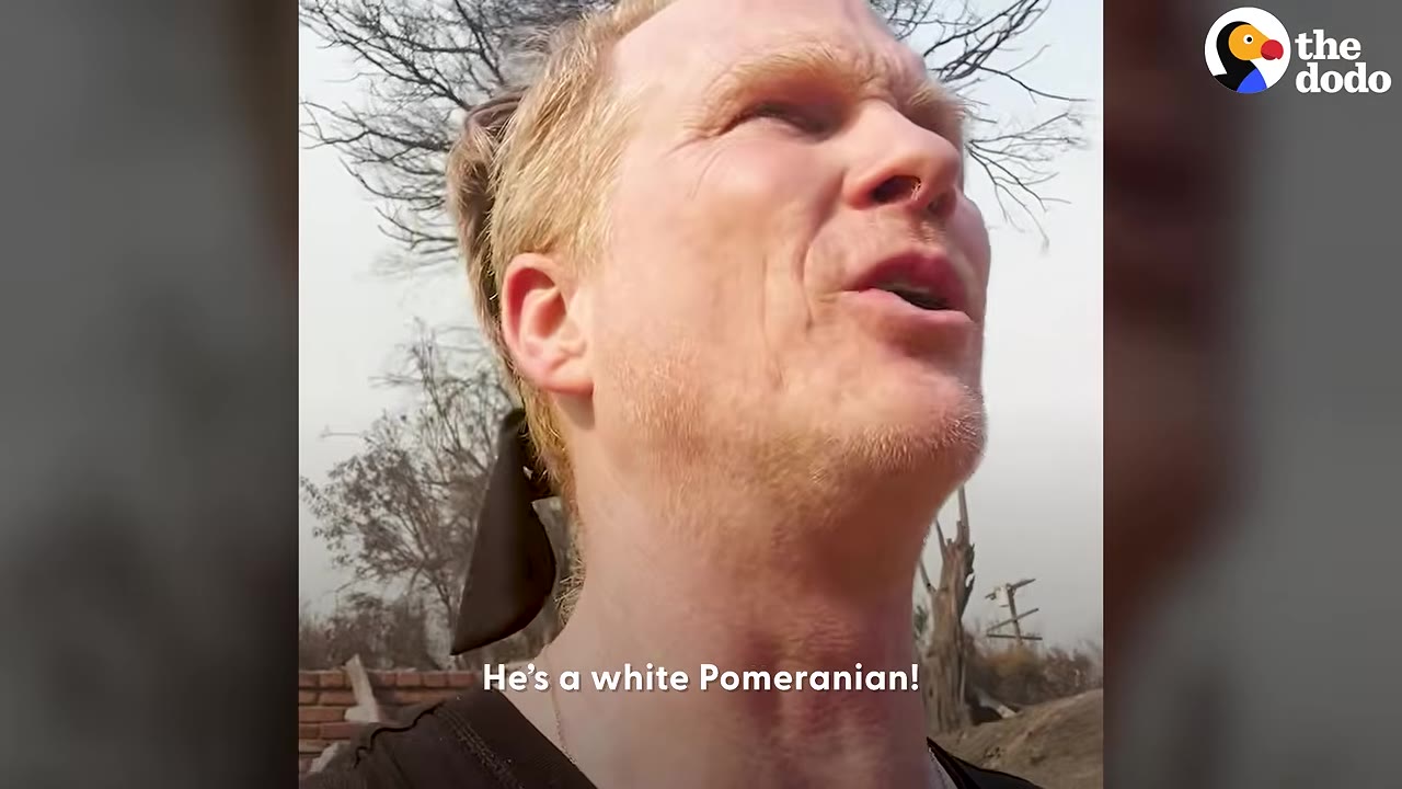 Close-up shot of a blonde man looking up and talking outdoors near burned trees.