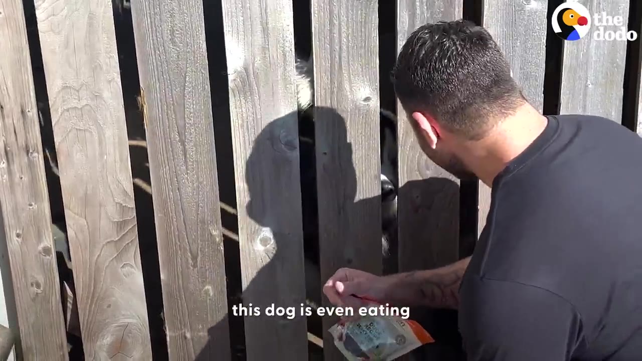 A man holding a bag of treats reaches toward a wooden fence slat where a dog is visible on the other side.