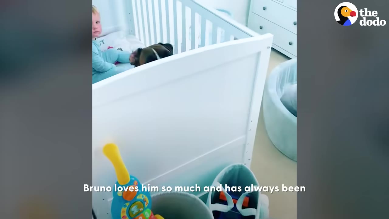 A toddler in blue pajamas sitting inside a white crib with a dog.
