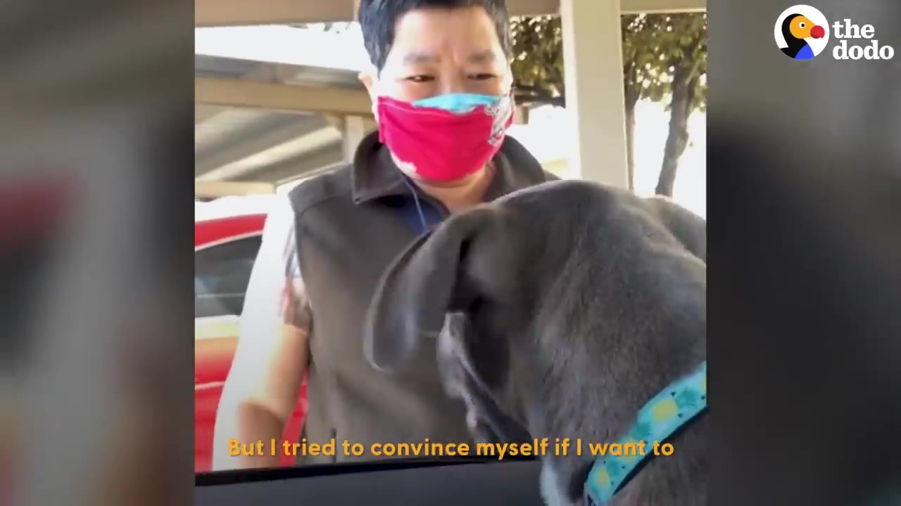 A woman wearing a face mask stands outside a car, greeting a grey dog looking out the window.