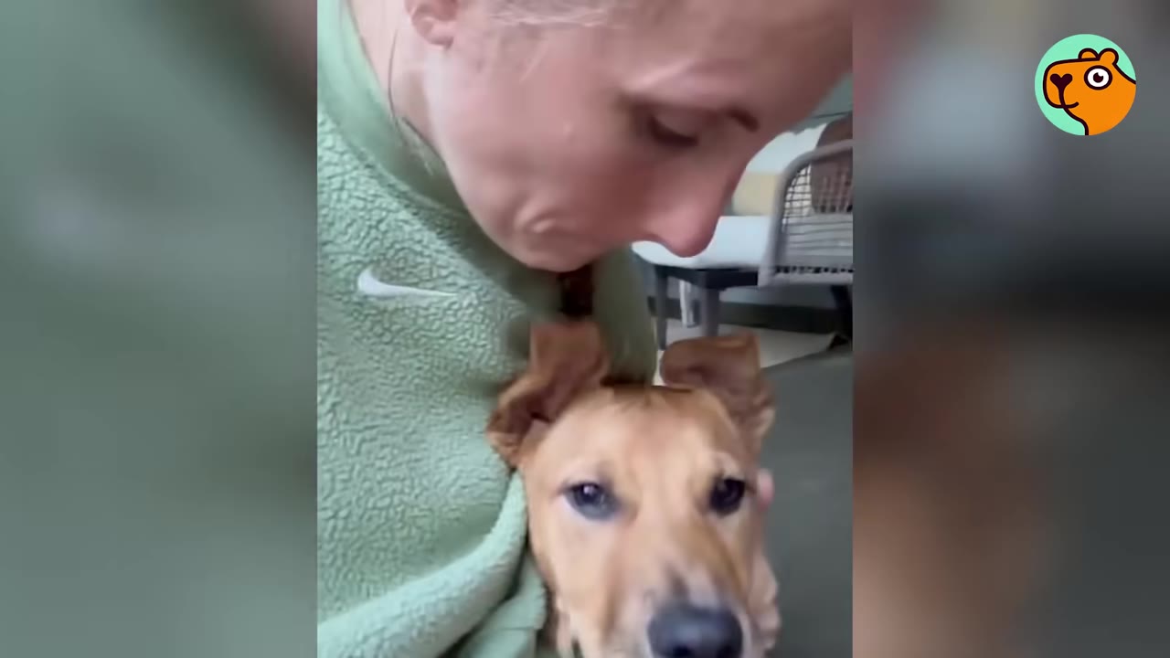 A woman leaning down affectionately close to a tan dog sitting beside her.