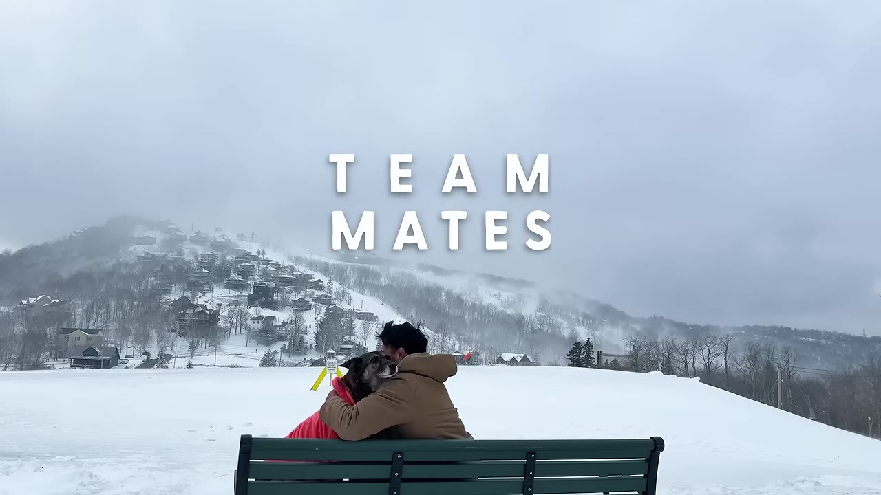 A man in a brown jacket sits on a green park bench, hugging a dog wearing a red coat, looking out at a snowy mountain landscape.