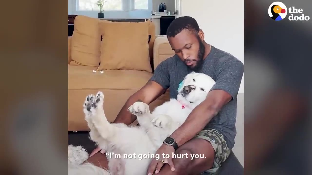 A man cradles a white dog on his lap, looking down at it gently while sitting on the floor in front of a couch.