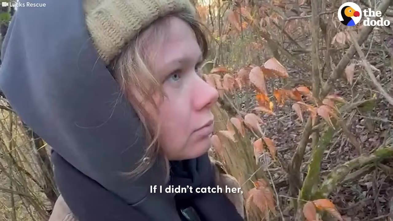 A close-up of a woman wearing a winter beanie and a dark hooded jacket, looking off-camera with a concerned expression in a wooded area.