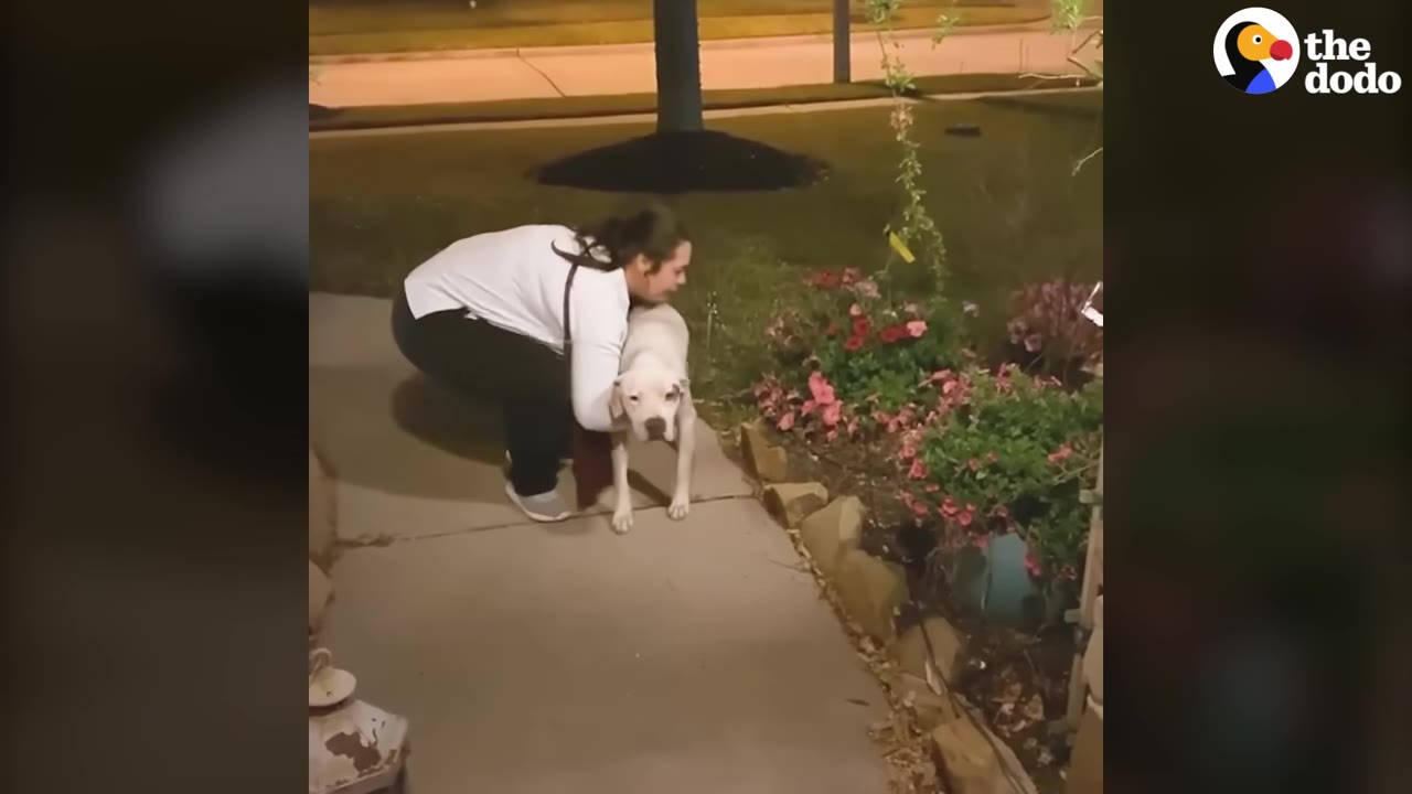 A woman in a white shirt and black pants crouches down to embrace and lift a white dog on a sidewalk outside a house at night.