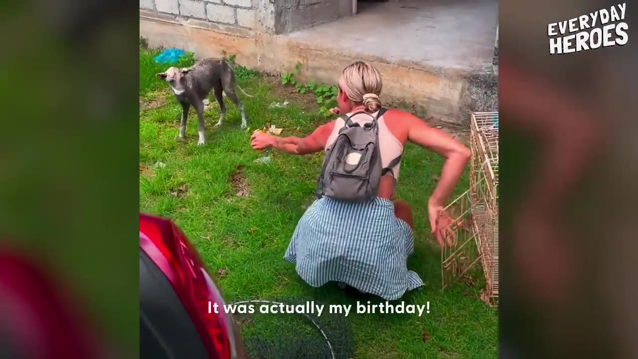 A woman crouching outdoors on the grass near a crate, offering food to a stray dog.