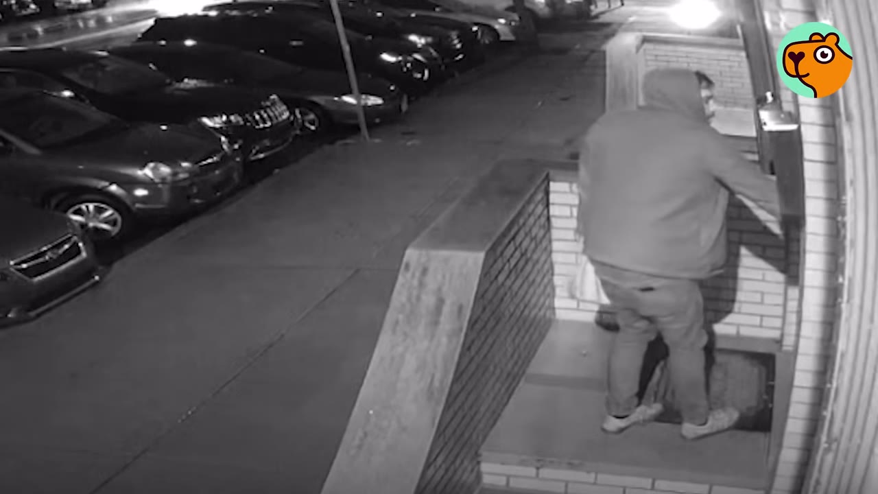 Security camera footage showing a person in a hooded sweatshirt standing at a building entrance at night and reaching toward the door.