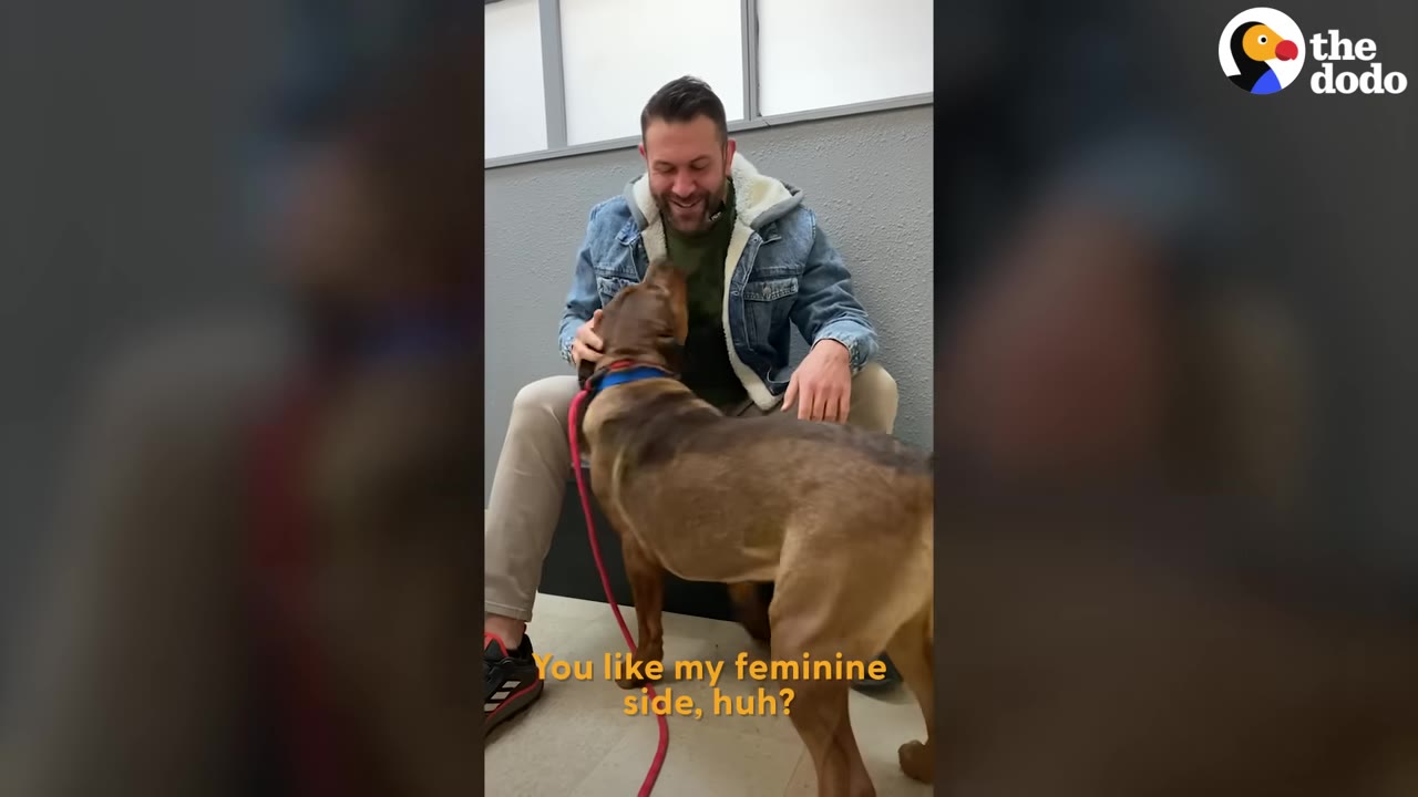 A smiling man seated indoors gently petting a brown dog standing in front of him.
