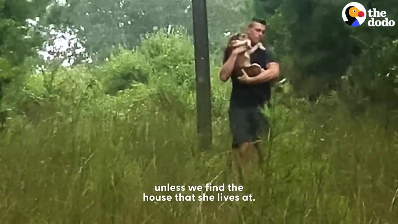 A man walking through tall grass outdoors while holding a small dog close to his chest.