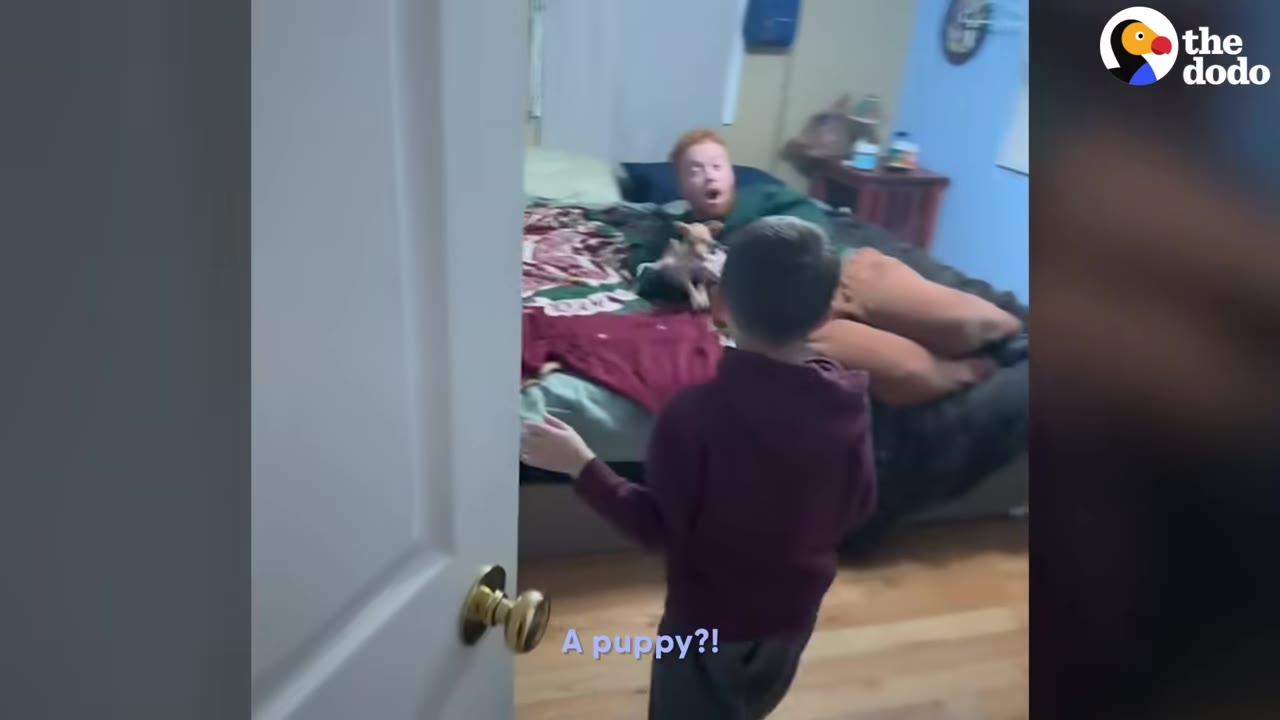A young boy walking into a bedroom through an open doorway, looking in disbelief toward a man lying on a bed holding a small puppy.