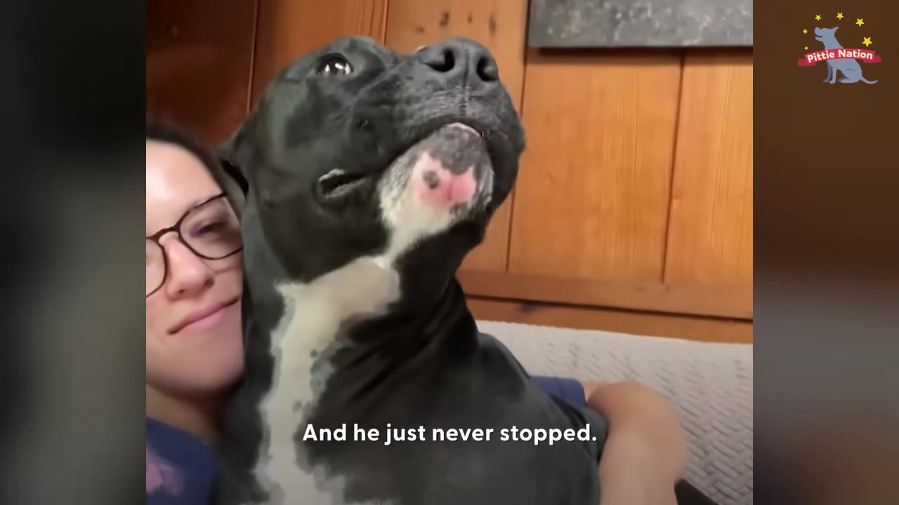 A black pit bull dog with a white patch on its chest sitting closely beside a smiling woman wearing glasses.