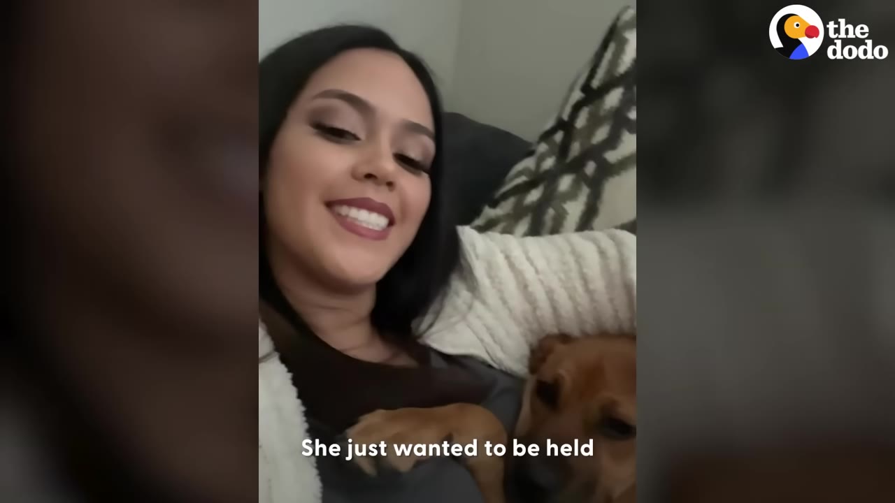 A woman smiling on a couch while holding a small tan dog close to her chest.