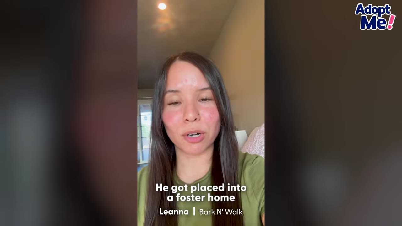 A woman with long dark hair and a green shirt speaks directly to the camera in an indoor setting, with text on screen identifying her as Leanna from Bark N' Walk.