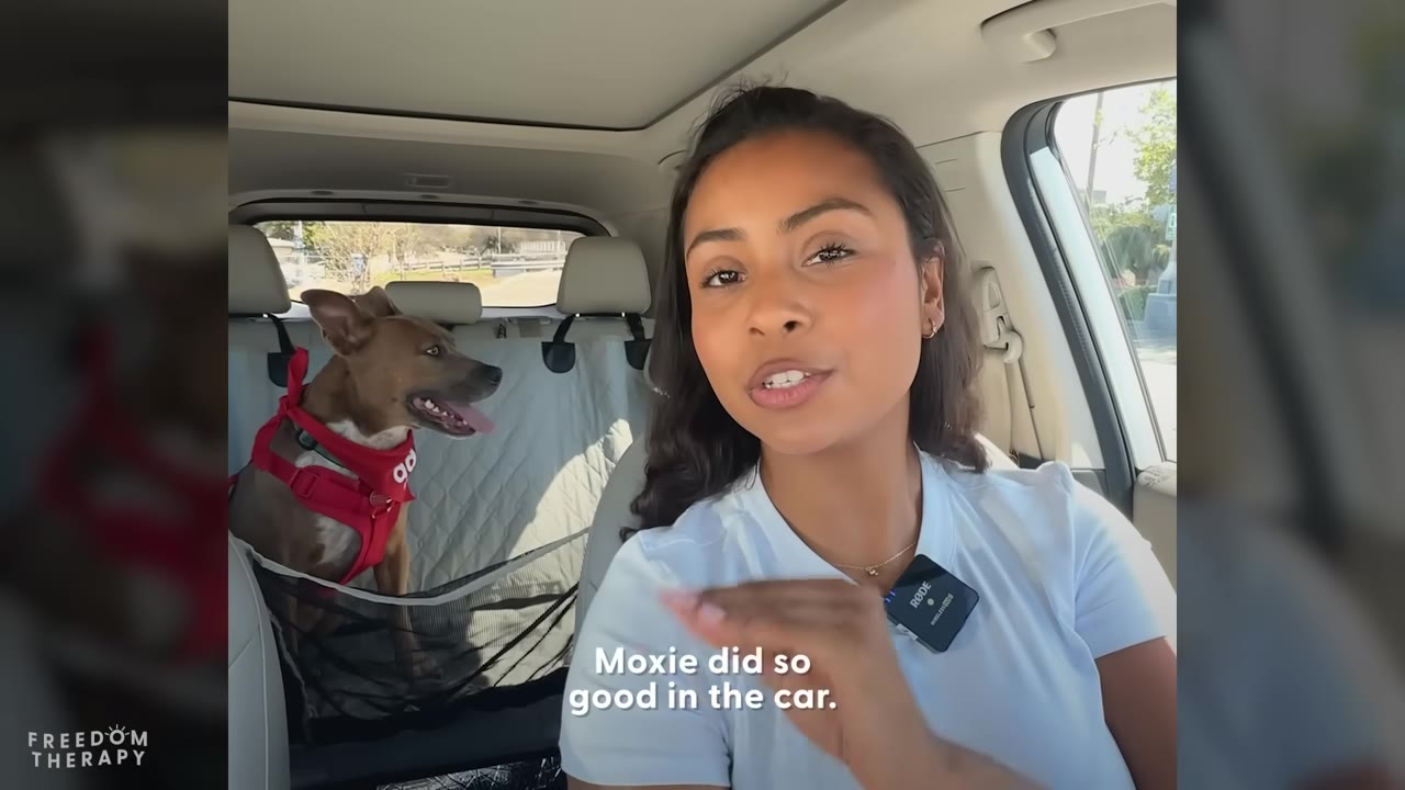 A woman in a white t-shirt sits in the driver's seat of a car, speaking to the camera, while a brown dog wearing a red harness sits in the back seat looking out the window.
