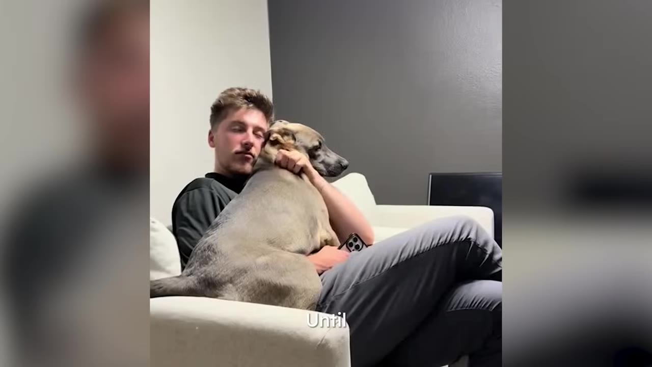 A young man sitting on a couch hugging a medium-sized dog resting on his lap.