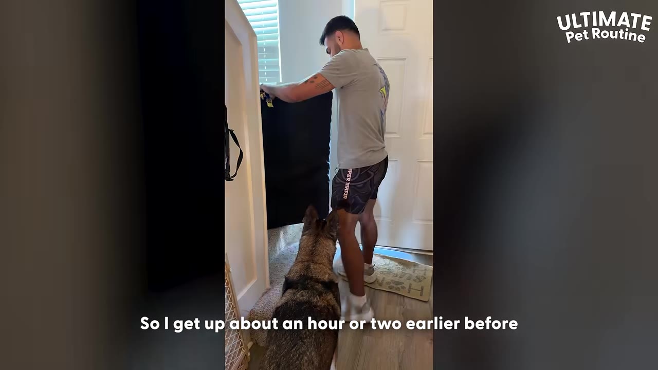 A man in a grey t-shirt and athletic shorts stands by a window adjusting a black mat or cover, while a German Shepherd stands beside him looking up.