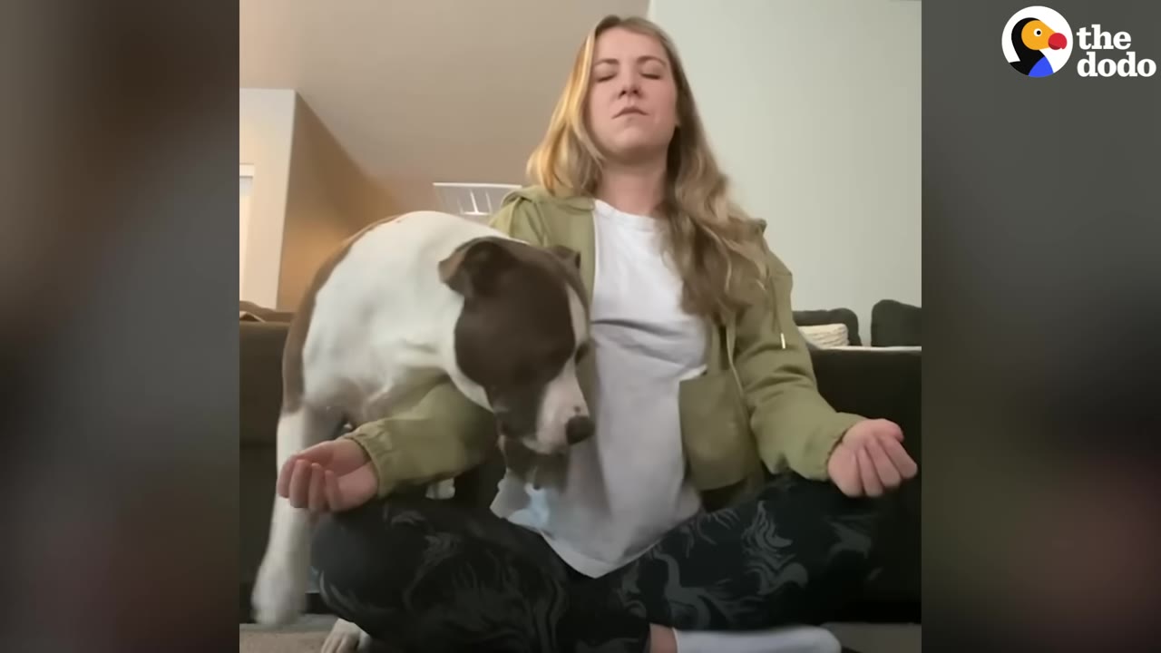 A woman sitting cross-legged with her eyes closed in a meditation pose while a pit bull nudges under her arm.