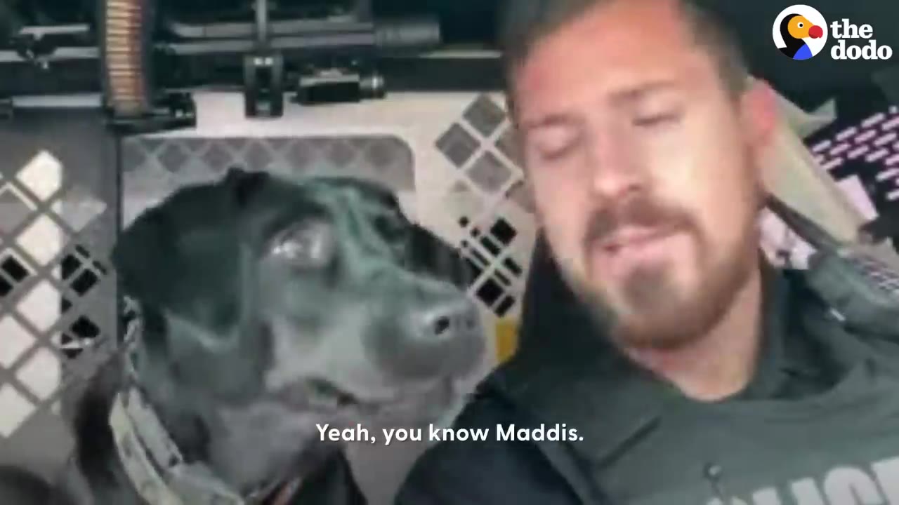 A police officer sitting inside a patrol car next to a black dog named Mattis.