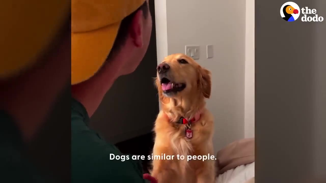 A man wearing a yellow baseball cap looks directly at a golden retriever sitting up attentively.