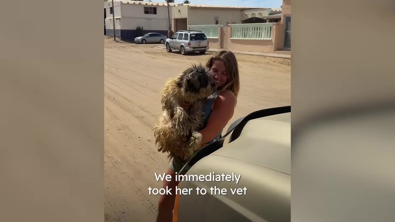 A smiling woman standing on a dirt road next to a vehicle, holding a fluffy scruffy dog in her arms.
