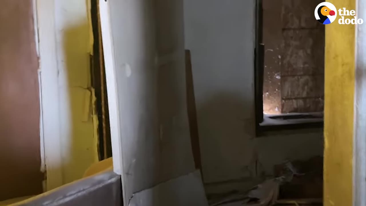 An empty, dimly lit room inside a dilapidated house with damaged walls and a window covered in plywood.