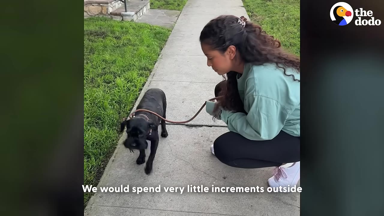 A woman with long curly hair crouches on a concrete sidewalk, holding a leash and patiently watching a small black dog walk slowly beside her.