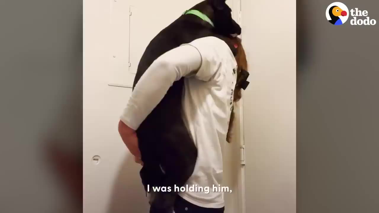 A woman carrying a large black dog around inside a house.