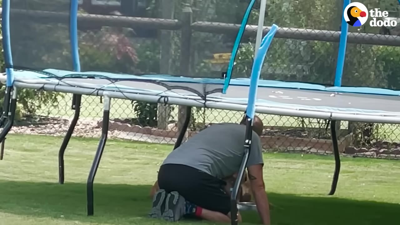 A man in a grey shirt and black shorts crawls on his knees on the grass under a blue trampoline.