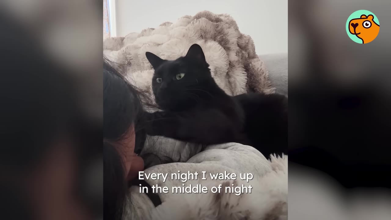A black cat lies cuddled up on its owner's chest on a couch with a fluffy blanket.