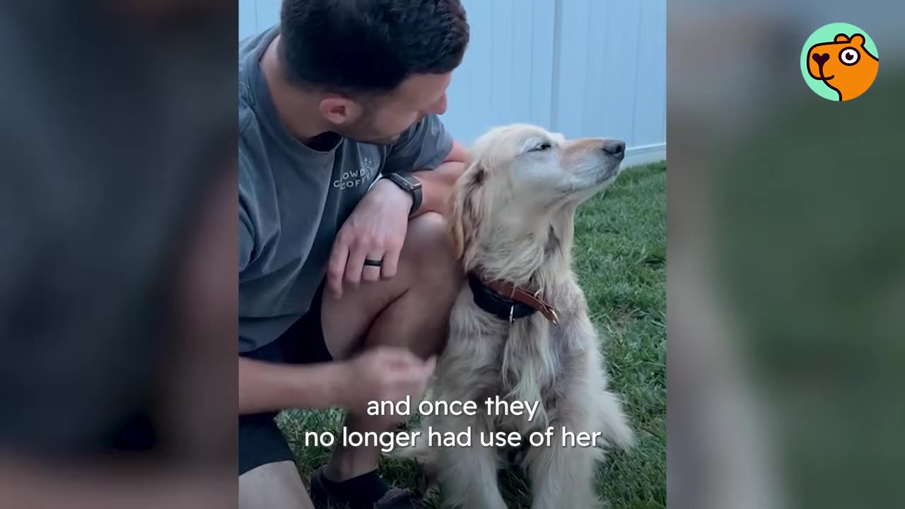 A man crouching next to a golden retriever sitting on grass outside.