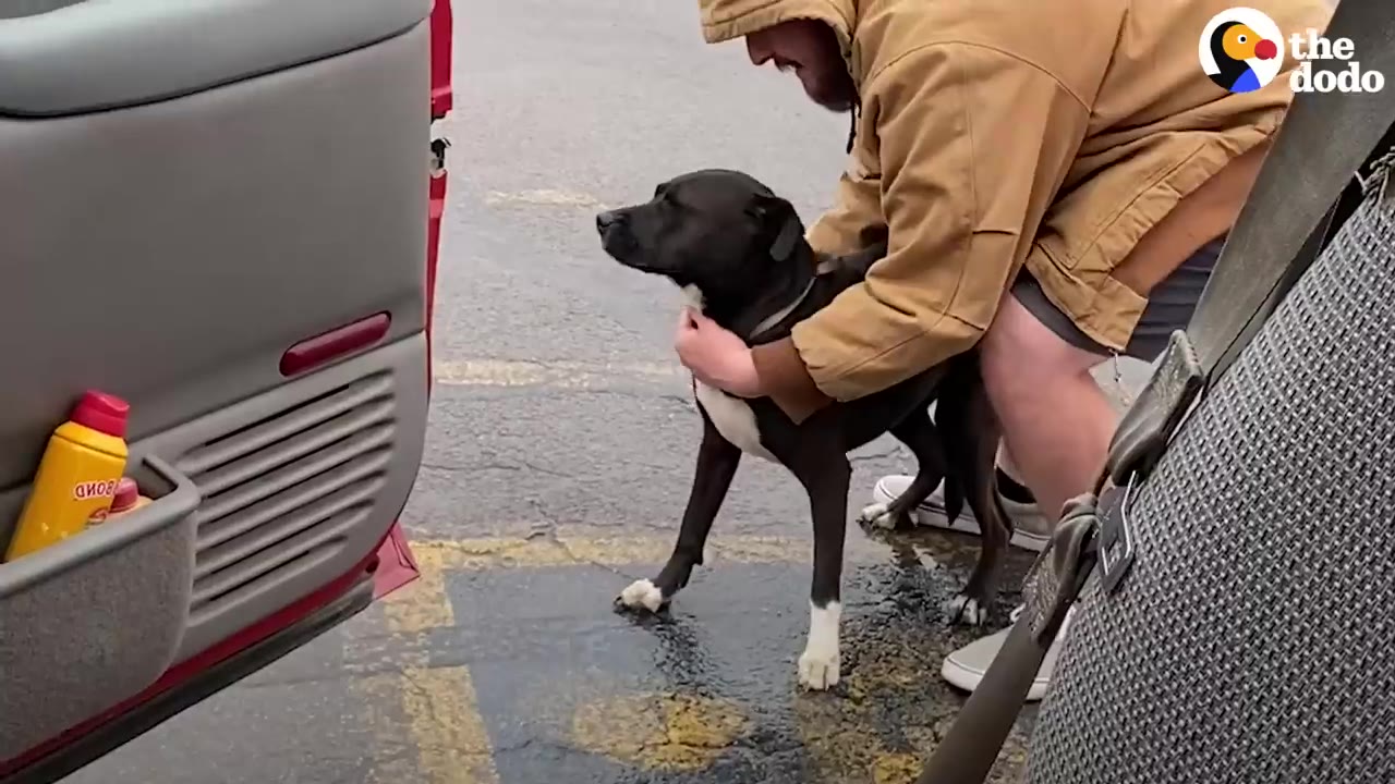 A man in a tan hooded jacket carefully holds a black and white dog in a paved parking lot near an open vehicle door.