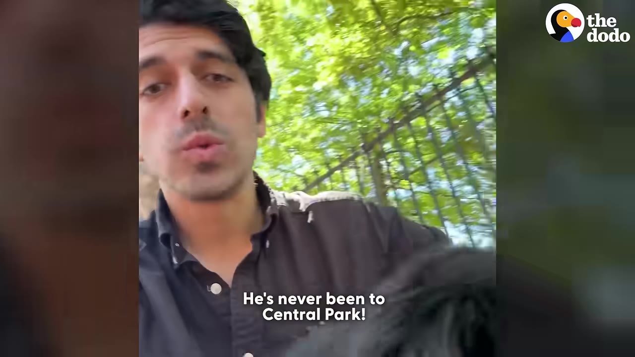 A man speaks to the camera with a green, leafy park background behind a metal fence, with the caption 'He's never been to Central Park!'.