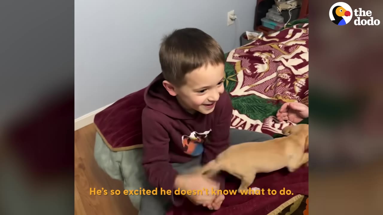 A smiling young boy in a maroon hoodie sitting on a bed next to a small brown puppy.