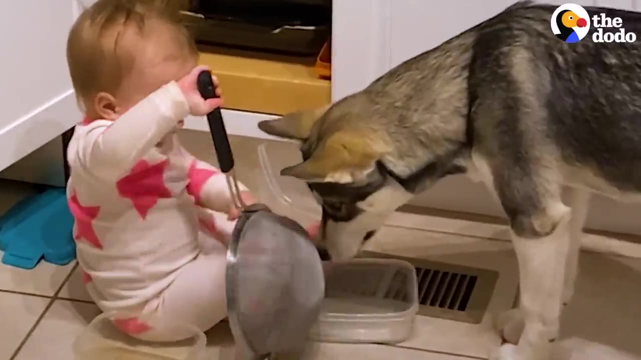 A baby in pink patterned pajamas sits on the kitchen floor playing with a metal strainer while a husky puppy stands closely beside them.