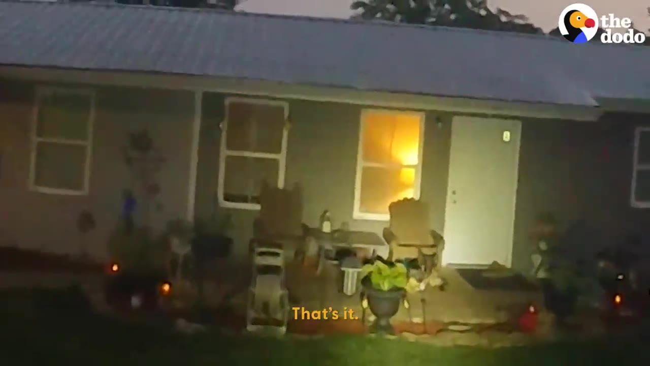 A house porch illuminated by a flashlight beam at night.