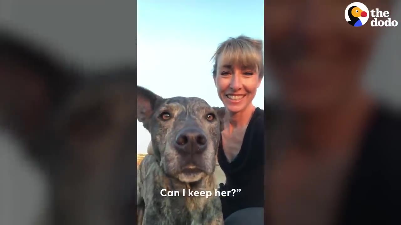 A smiling woman posing outdoors next to a brindle dog looking directly forward.