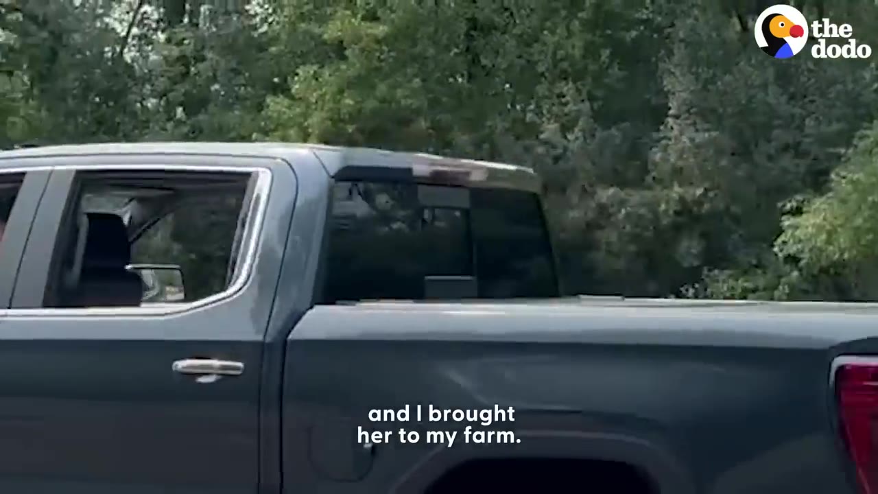 A grey pickup truck driving past green trees, with the caption 'and I brought her to my farm.'