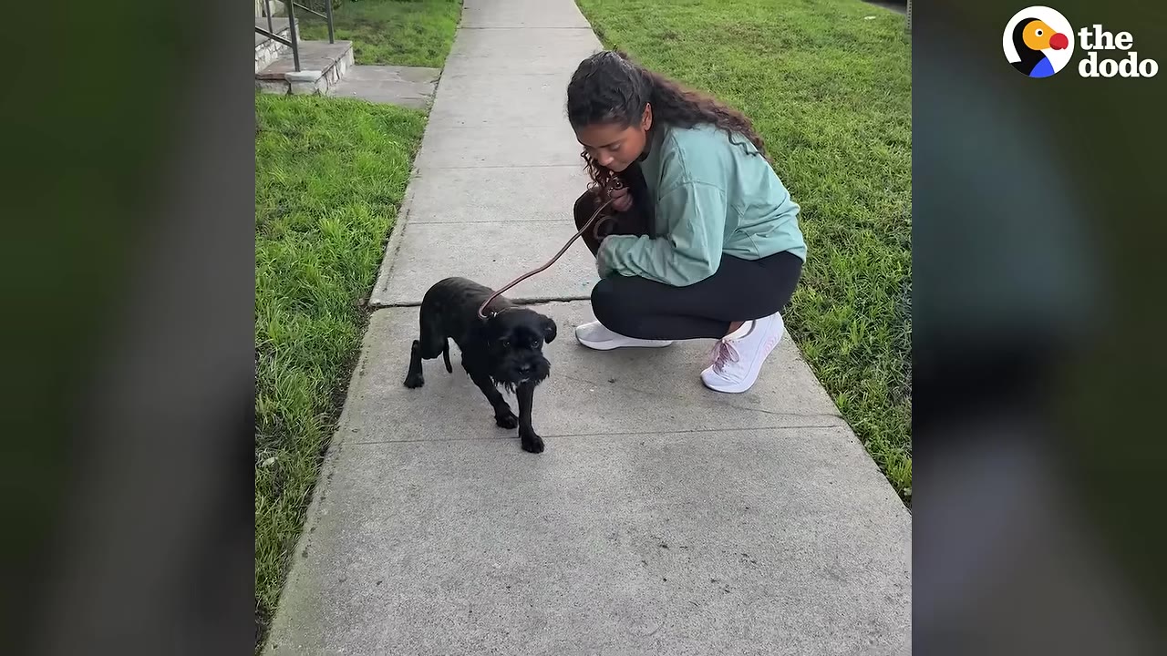 A woman in a green sweatshirt crouches on a concrete sidewalk next to a small black dog on a leash.