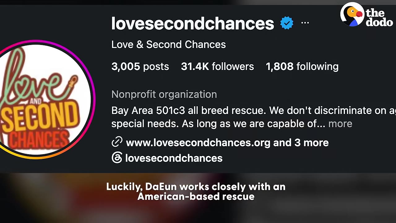A screenshot of the Instagram profile for Love & Second Chances, showing their logo, follower count, and bio describing them as a Bay Area nonprofit animal rescue.