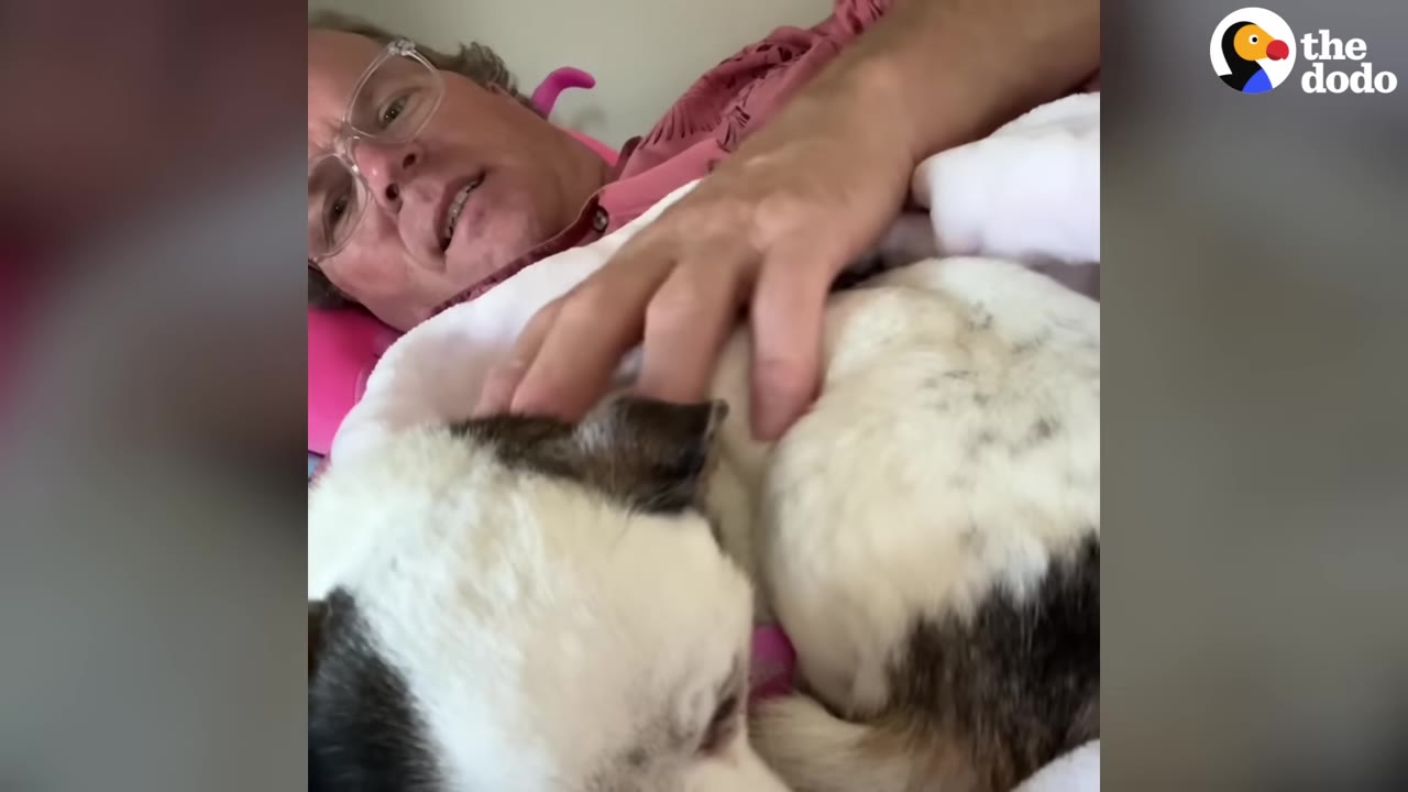 A person wearing glasses lies down, cuddling and petting a small white and brown dog curled up under a white blanket.