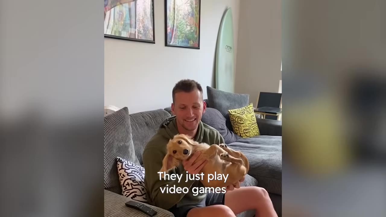 A smiling man sitting on a gray couch holding a small golden puppy in his lap.