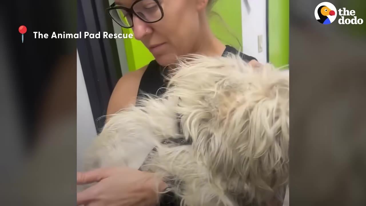 A woman wearing glasses holds a small, heavily matted white dog close to her chest.