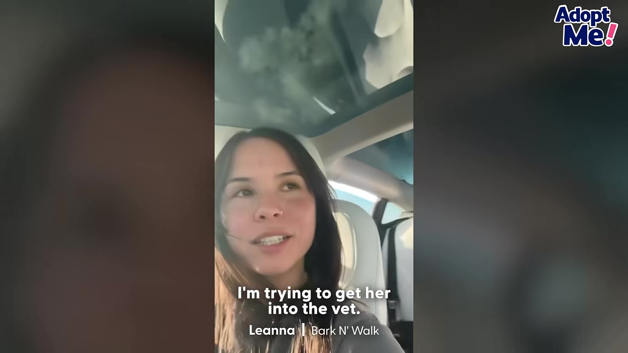A young woman named Leanna speaking to the camera inside a car, with text overlay reading 'I'm trying to get her into the vet. Leanna | Bark N' Walk'.