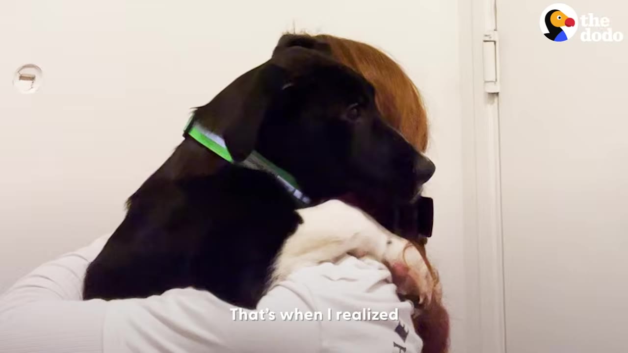 A black and white dog resting its head and paw over a person's shoulder while being held closely.