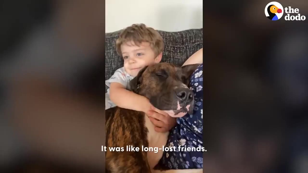 A young boy hugging a sleeping brindle dog on a sofa.