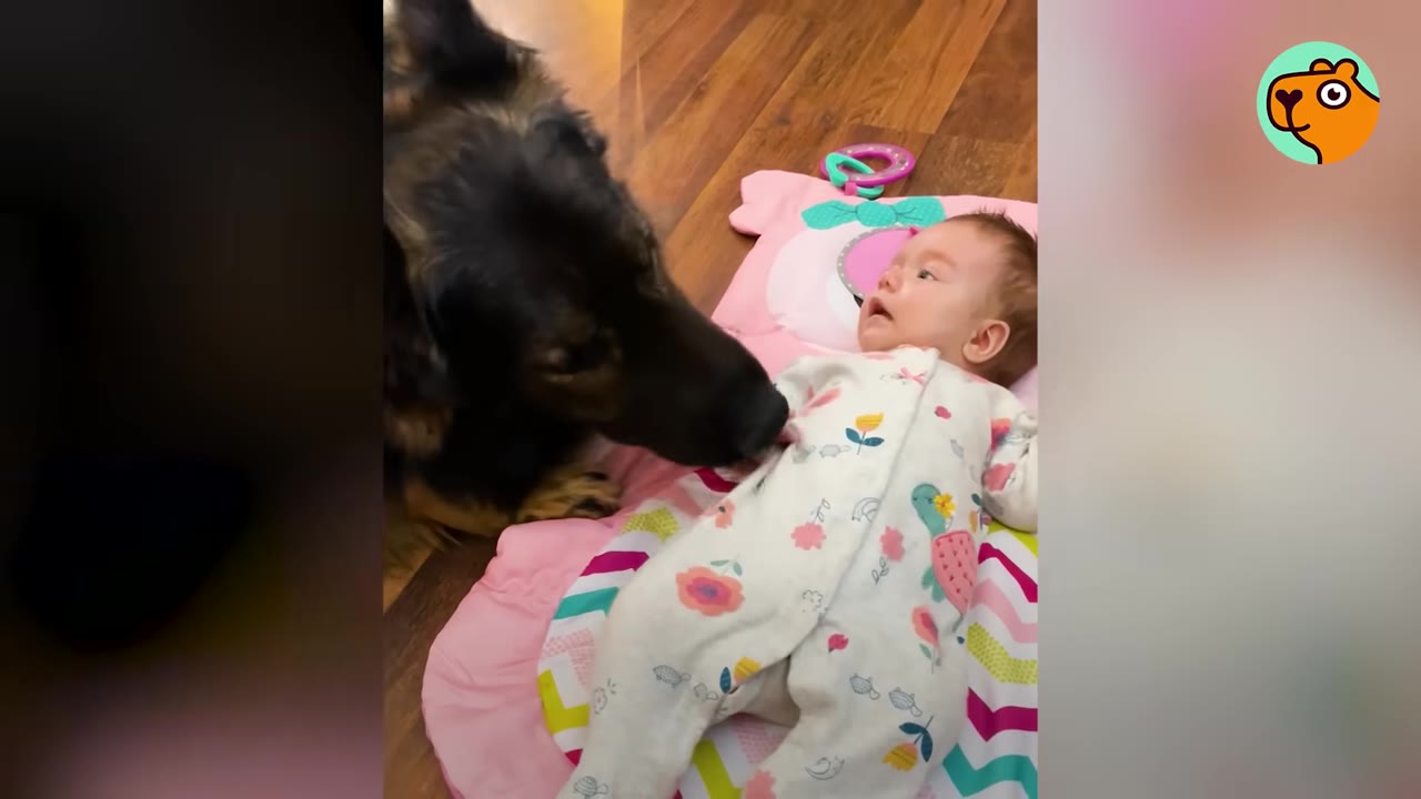 A German Shepherd dog gently sniffs a newborn baby wearing patterned pajamas on a pink play mat.