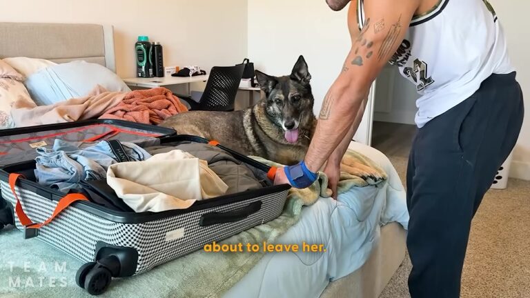 Florida Veteran Drove 10 Hours For One Reason His Retired Detection Dog Couldn’t Have Seen Coming