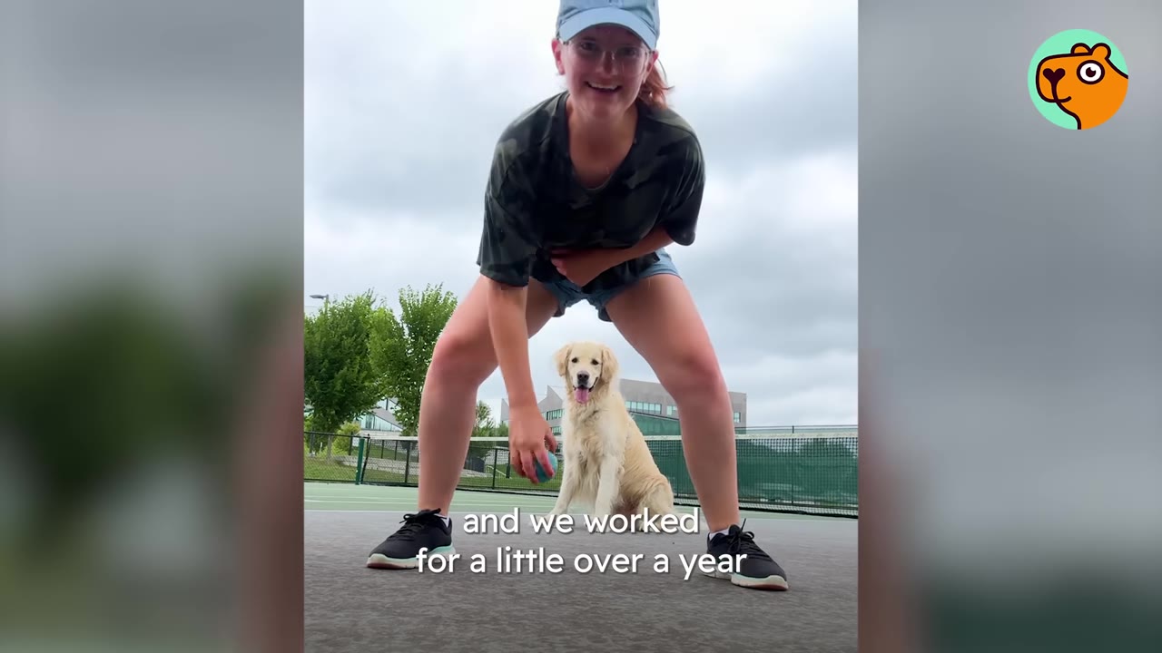 A woman wearing a cap and camo shirt stands over a golden retriever sitting on a court outdoors.
