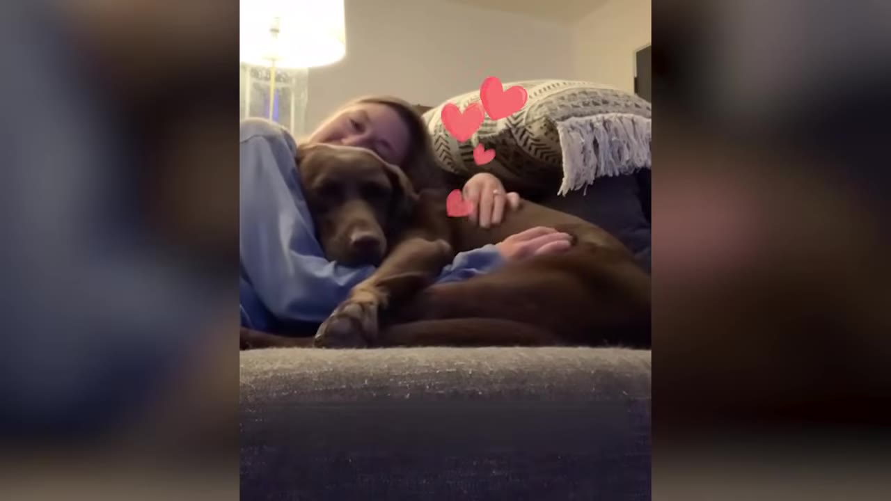 A brown dog cuddling closely with a woman resting on a sofa.